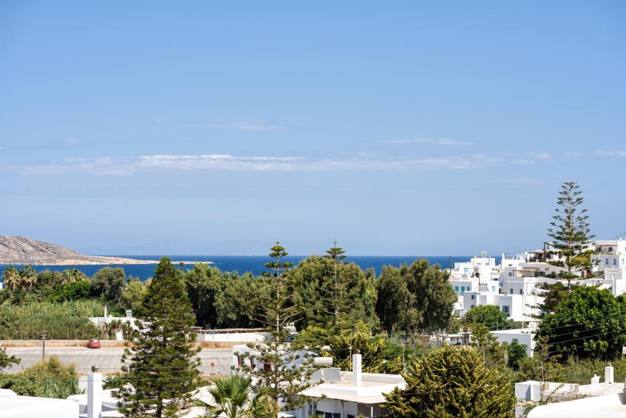 Hara'S Villa In Naousa , Paros Exterior photo